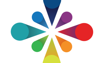 Új nagykereskedő gyógyszertárak és gyógyászati segédeszköz szaküzletek részére: Bellis Egészségtár Kft.